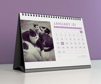 Personalized Pet Calendar