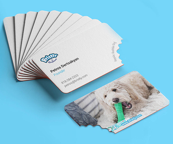 Printable Business Card Magnetic Sheets. Pre-Cut Business Cards Stock ( 5  sheets) 