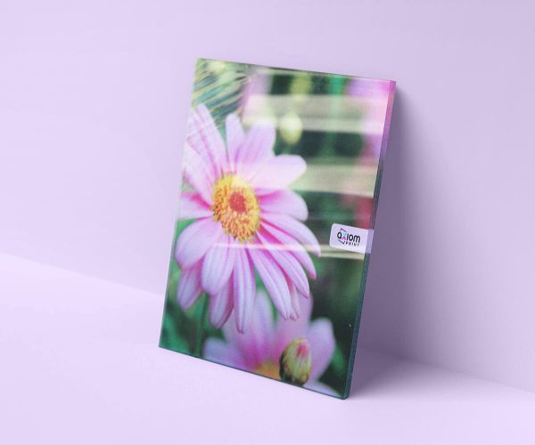 Daisy Blooms (vinyl) – Acrylic Blanks, Stickers, Printed Vinyl