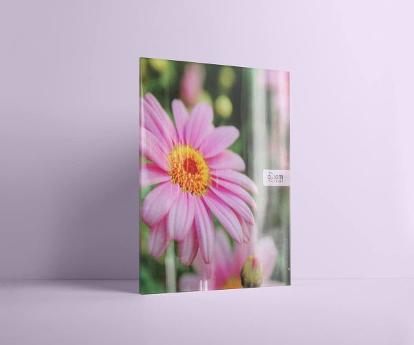 Elegant Feather Notepad Personalized for Women - Modern Pink Paper