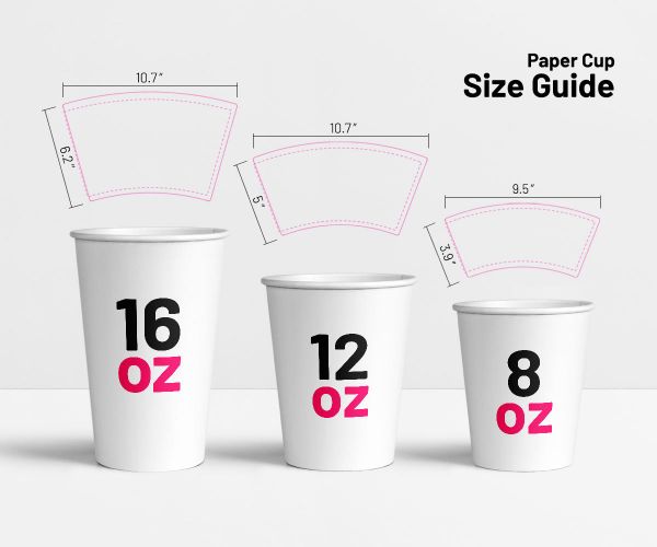 Paper Cup Guide